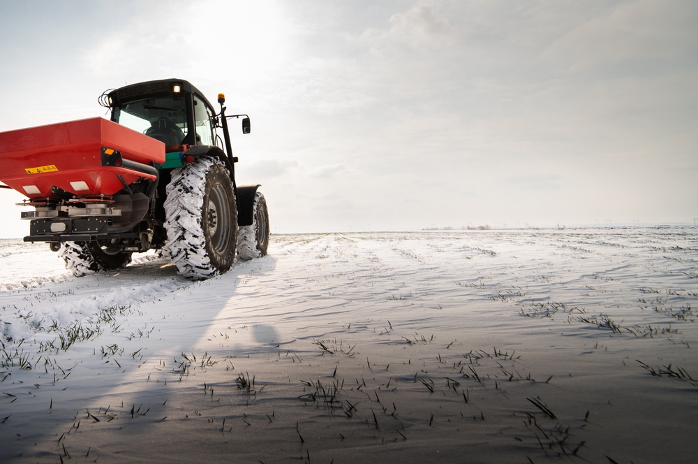 Some Winter Cover Crops Boost Soil Health