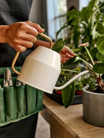 There Is A Foolproof Way to Keep Potted Plants Alive All Winter