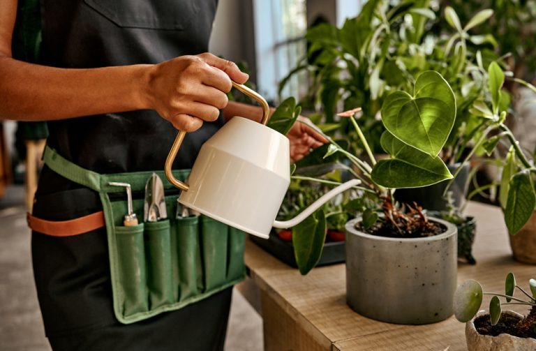 There Is A Foolproof Way to Keep Potted Plants Alive All Winter