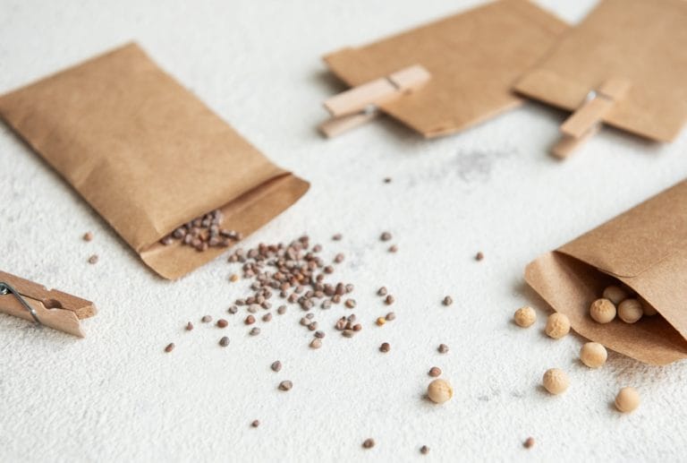 There Are Certain Seeds You Should Store in Paper Bags This Fall