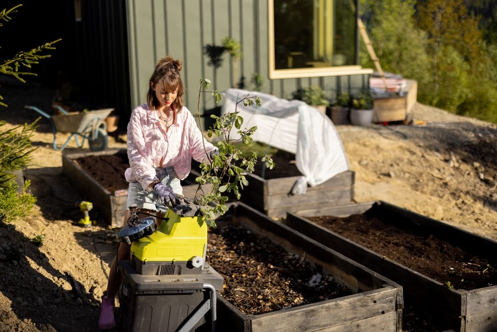 Cardboard Mulch Might Be the Secret Weapon Your Soil Needs