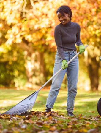 Leaving Leaves Might Save Your Lawn