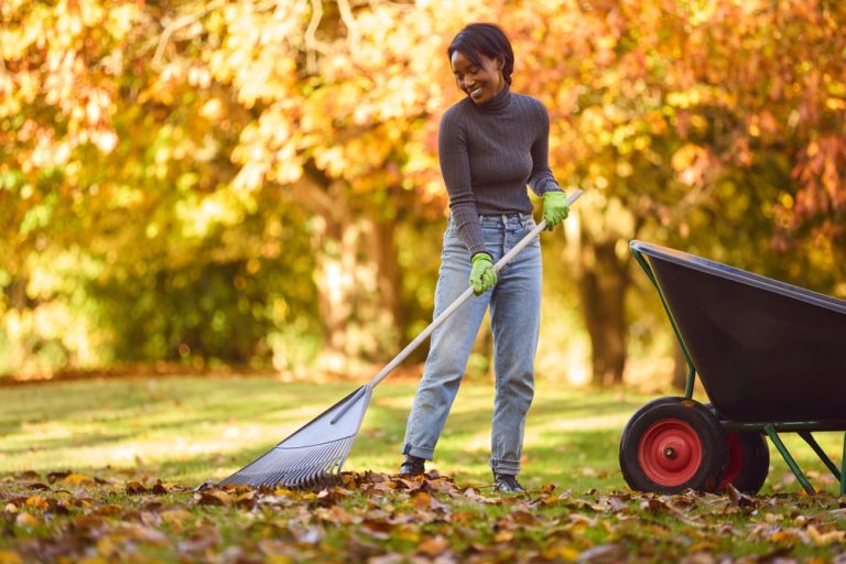 Leaving Leaves Might Save Your Lawn