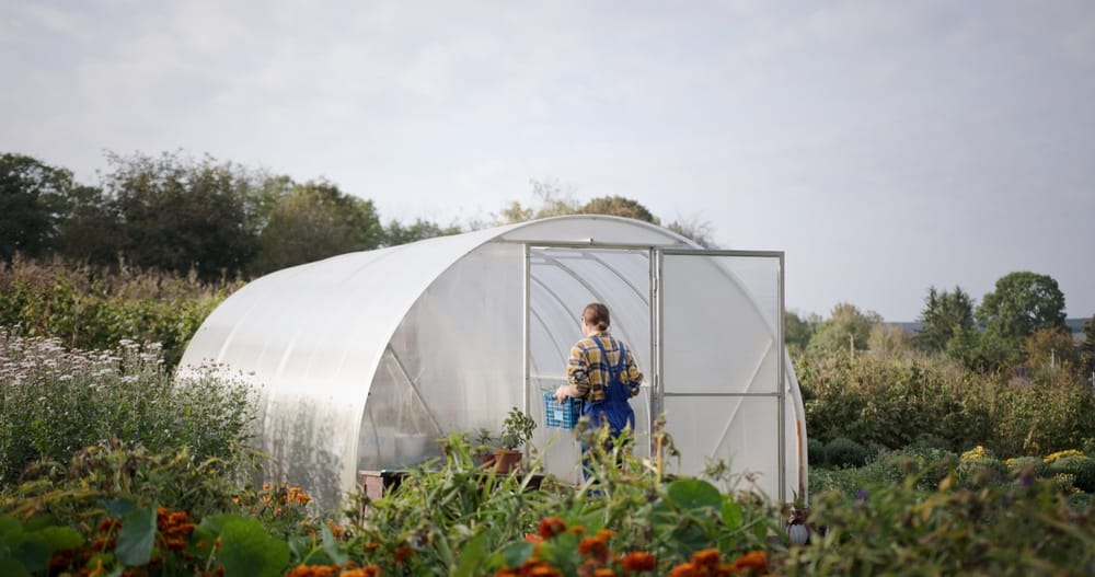 You Can Keep Your Greenhouse Warm Without Skyrocketing Energy Bills