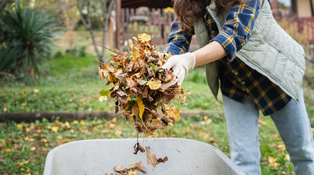 Pollinator Habitat Shouldn’t Be Cut Back Yet