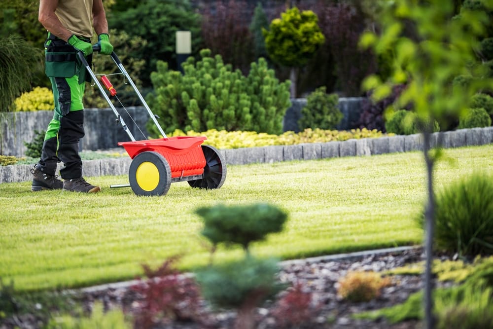 Should You Really Be Paying A Lawncare Company To Take Care Of Your Yard Year Round?