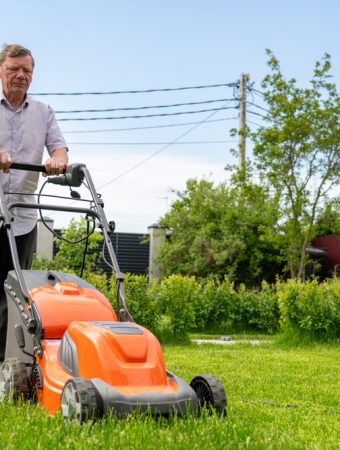 There Are Ways To Mow and Mulch for a Perfect Lawn Come Spring