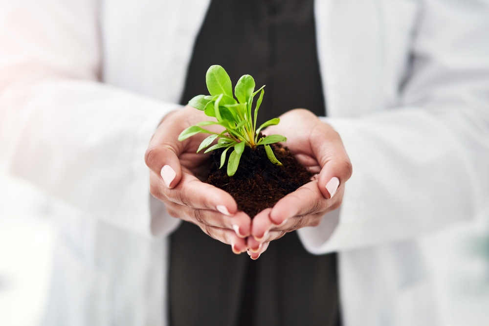 How You CanFeed Your Soil Now and Reap the Rewards in March