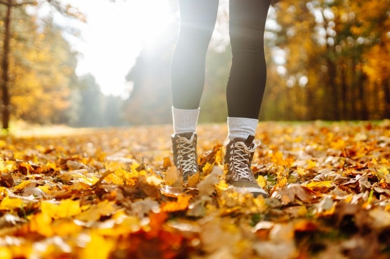 Should You Leave Fallen Leaves or Clean Them Up?