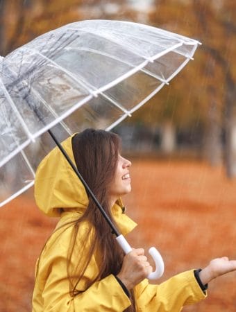 Soil Structure Shifts After Heavy Autumn Rains