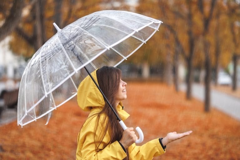 Soil Structure Shifts After Heavy Autumn Rains