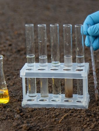 November Is the Smartest Month to Test Your Garden Soil