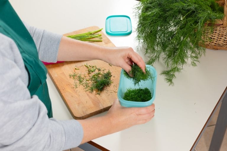 Storing Herbs Properly Can Preserve Oils