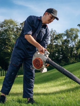 Should You Really Be Paying A Lawncare Company To Take Care Of Your Yard Year Round?