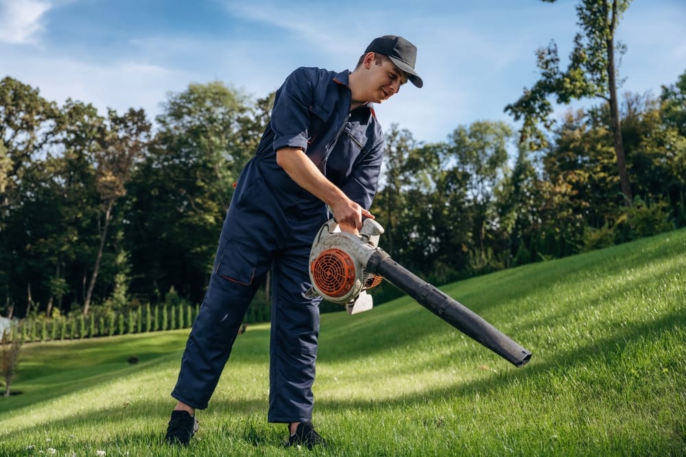 Should You Really Be Paying A Lawncare Company To Take Care Of Your Yard Year Round?