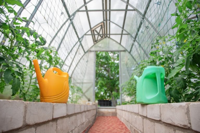 You Can Keep Your Greenhouse Warm Without Skyrocketing Energy Bills