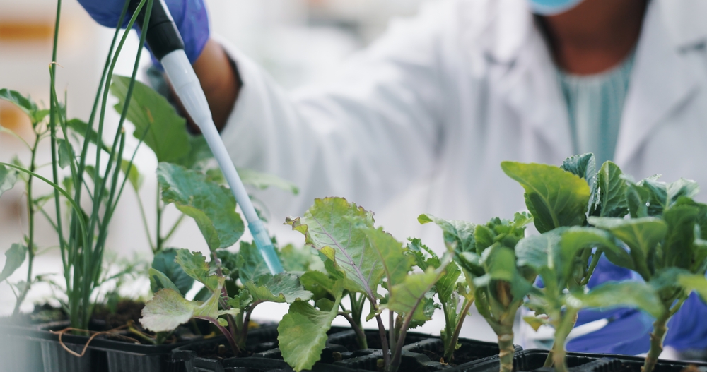 November Is the Smartest Month to Test Your Garden Soil