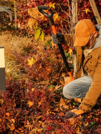 Some Fall Planting Extends Next Year’s Bloom Cycle