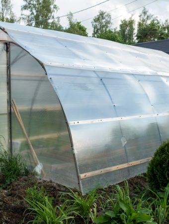How to Turn a Drafty Shed Into a Greenhouse