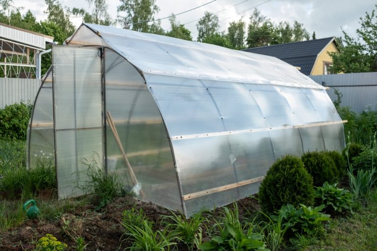How to Turn a Drafty Shed Into a Greenhouse