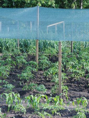 Garden Nets Stop More Than Pests in Fall