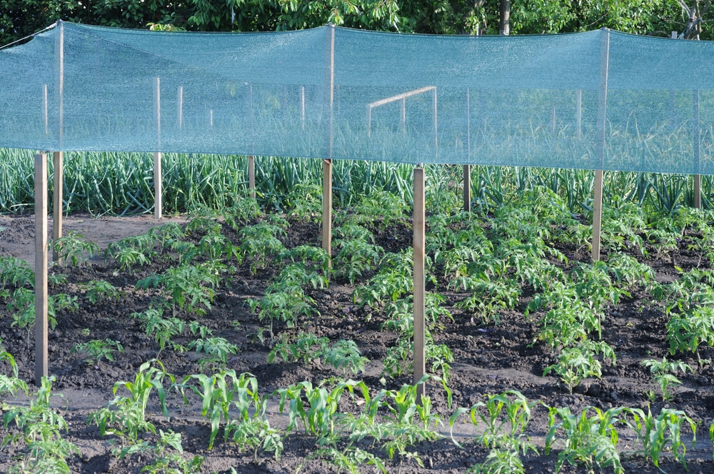 Garden Nets Stop More Than Pests in Fall