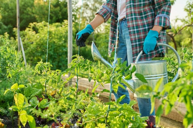 You Can Sketch a Smarter Garden Map During the Off-Season