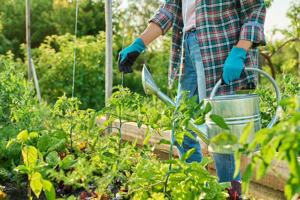 You Can Sketch a Smarter Garden Map During the Off-Season