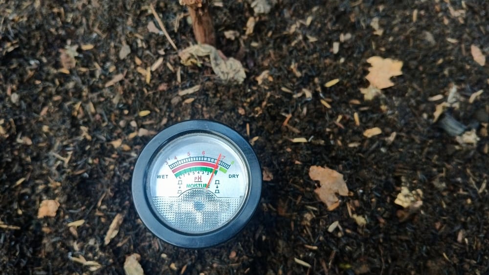 Some Soil Tests Give The Best Results In Fall