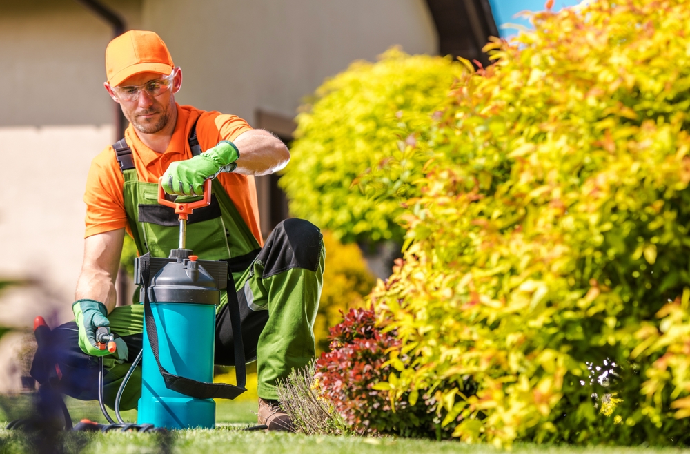 Stopping Lawn Care Too Early Could Invite Pests and Fungus