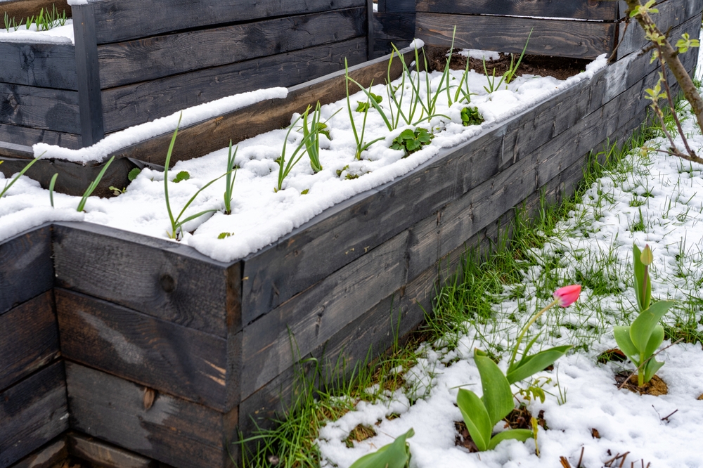 Your Raised Beds Need This One Winter Trick Before The Ground Freezes