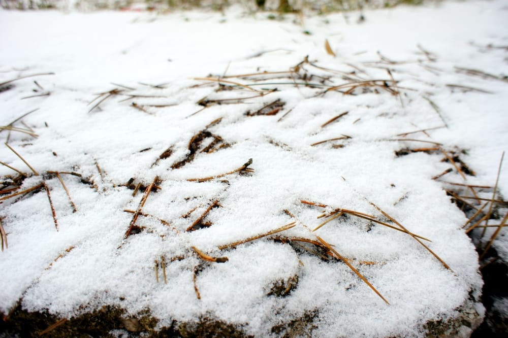 Compost Should Be Covered Before Snow
