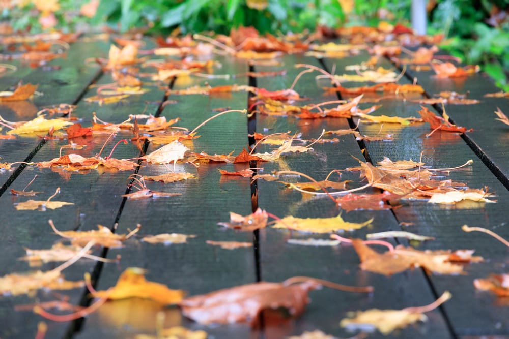 Soil Structure Shifts After Heavy Autumn Rains