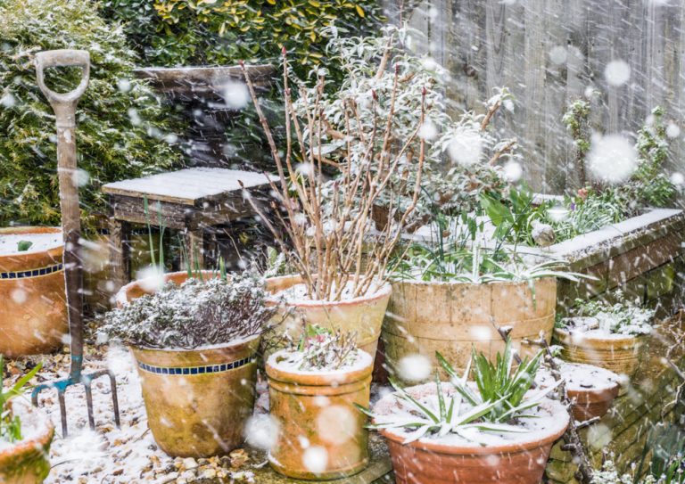 Make Sure Your Garden Containers Are Rated for Frost
