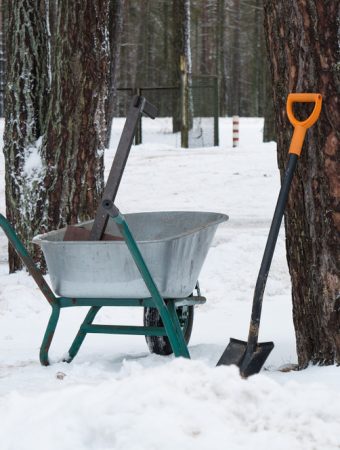 How To Keep Your Garden Tools Organized When Snow Hits