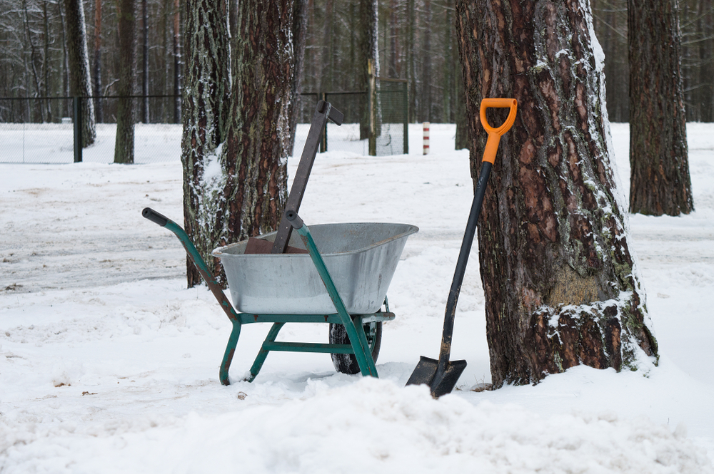 How To Keep Your Garden Tools Organized When Snow Hits