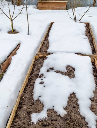 There Are Ways To Build Soil Over Winter Using Leaves, Compost & More