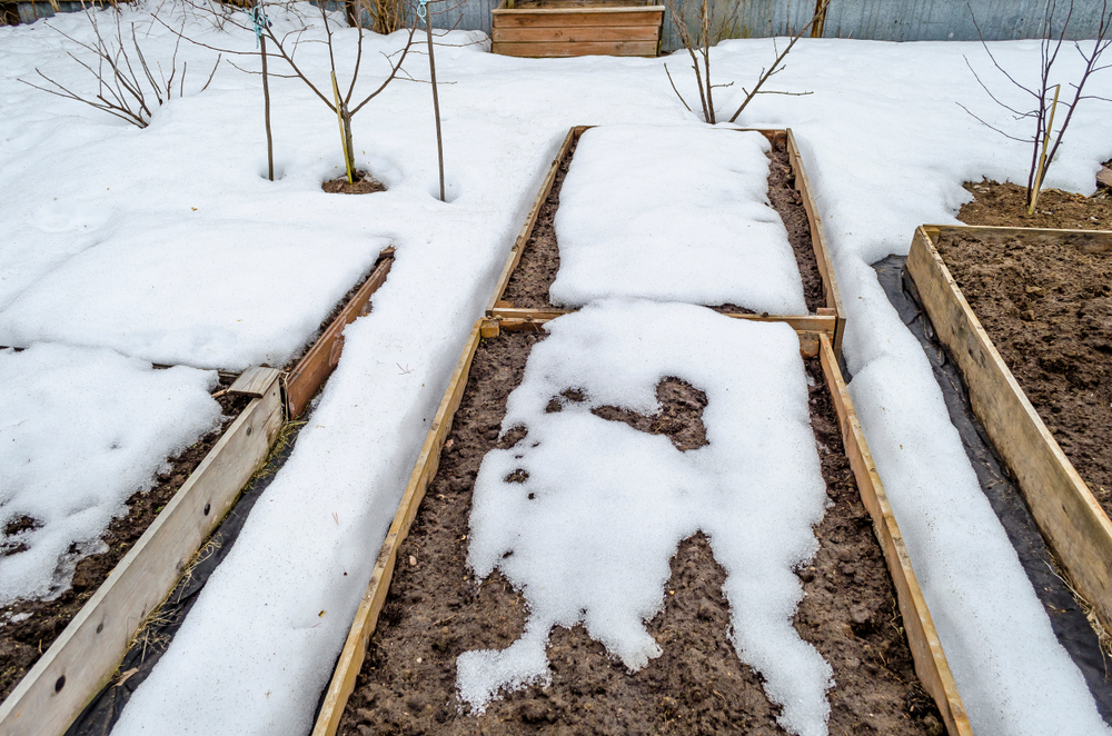 There Are Ways To Build Soil Over Winter Using Leaves, Compost & More