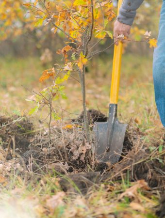 You Can Build A Garden Routine That Works While It’s Too Cold To Dig