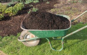Mulching in December Can Save Your Spring Garden