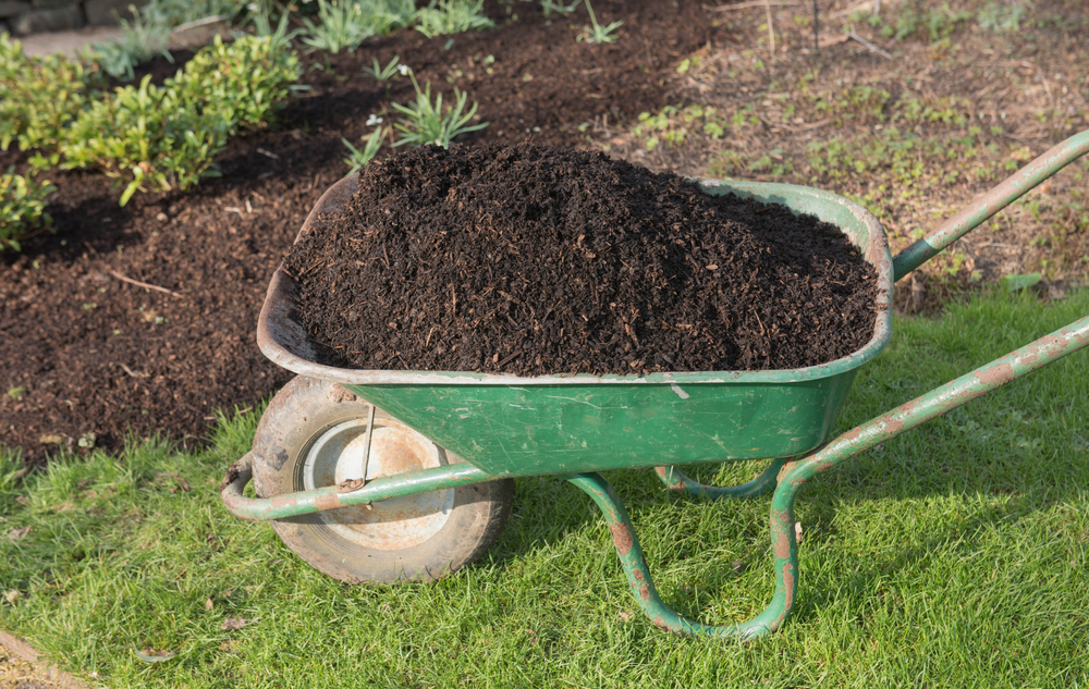 Mulching in December Can Save Your Spring Garden