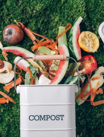 Why Garden Composting in Winter Works Better Than You Think