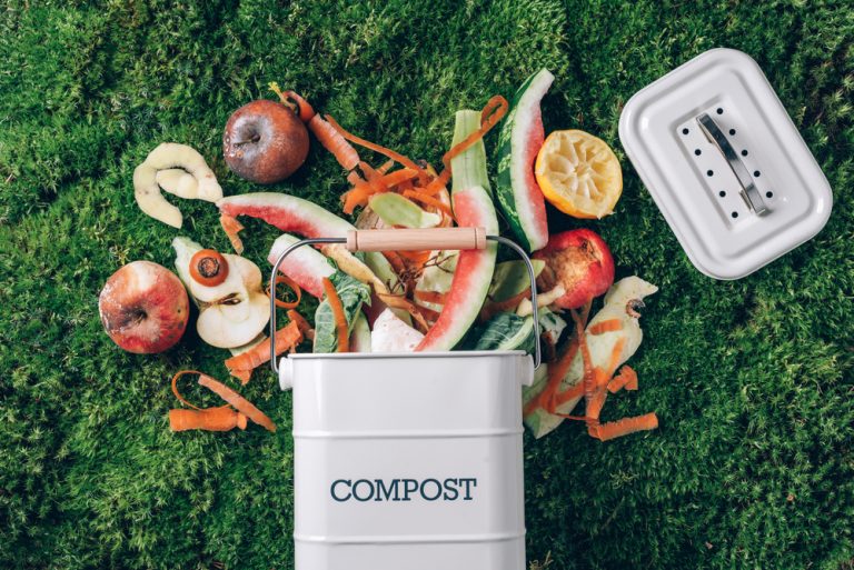 Why Garden Composting in Winter Works Better Than You Think
