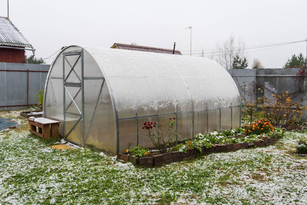 The Truth About Growing Food in Containers During Winter
