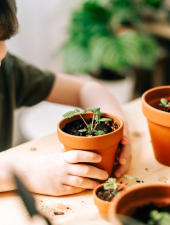 Here Are The The 5 Best Ways To Introduce Gardening To Your Kids