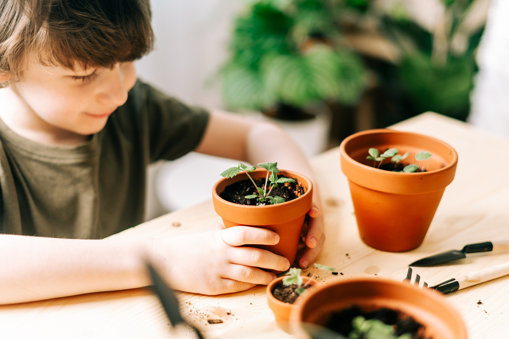 Here Are The The 5 Best Ways To Introduce Gardening To Your Kids