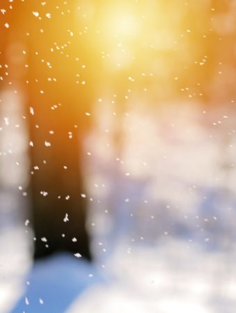 Here Are 14 Garden Tasks to Do Before the First Snow Flurry