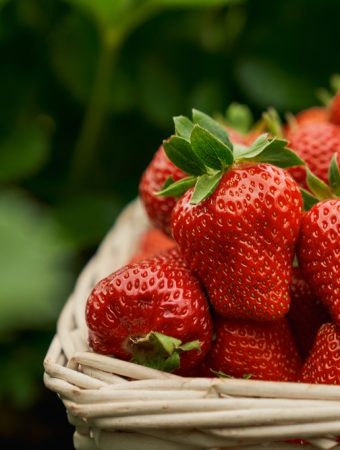 Here Are 8 Backyard Fruits No One Knows You Can Grow in Small Spaces