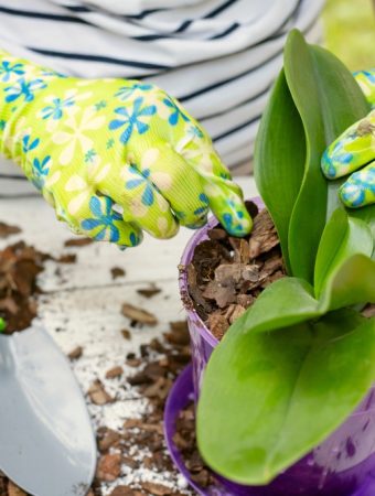 9 Gardening Supplies You Should Buy Before Spring Prices Rise