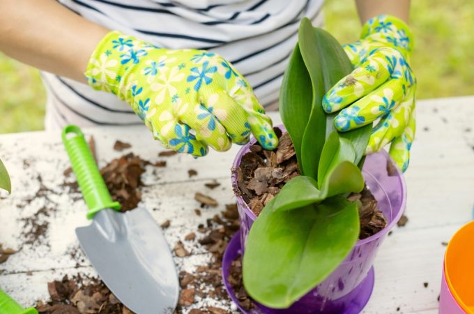 9 Gardening Supplies You Should Buy Before Spring Prices Rise